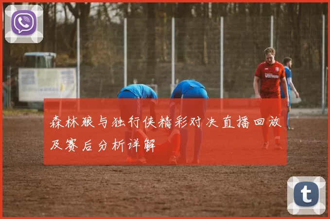 森林狼与独行侠精彩对决直播回放及赛后分析详解