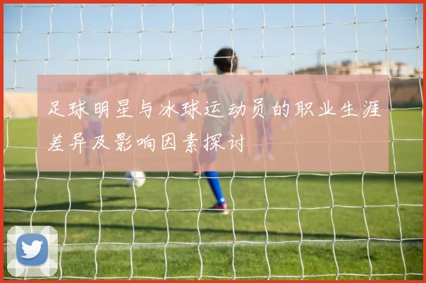 足球明星与冰球运动员的职业生涯差异及影响因素探讨