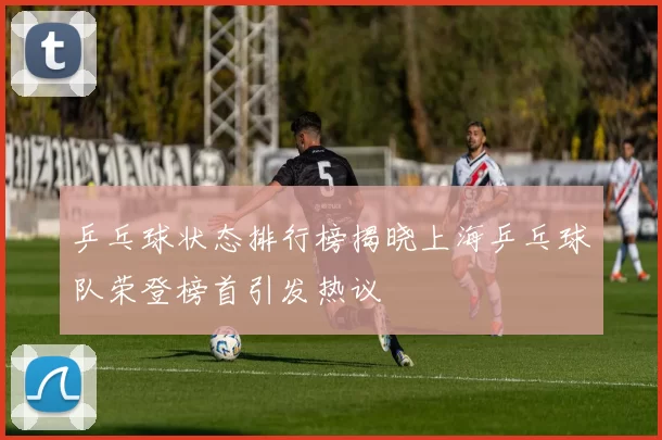乒乓球状态排行榜揭晓上海乒乓球队荣登榜首引发热议