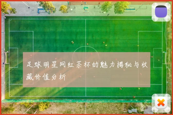 足球明星网红茶杯的魅力揭秘与收藏价值分析