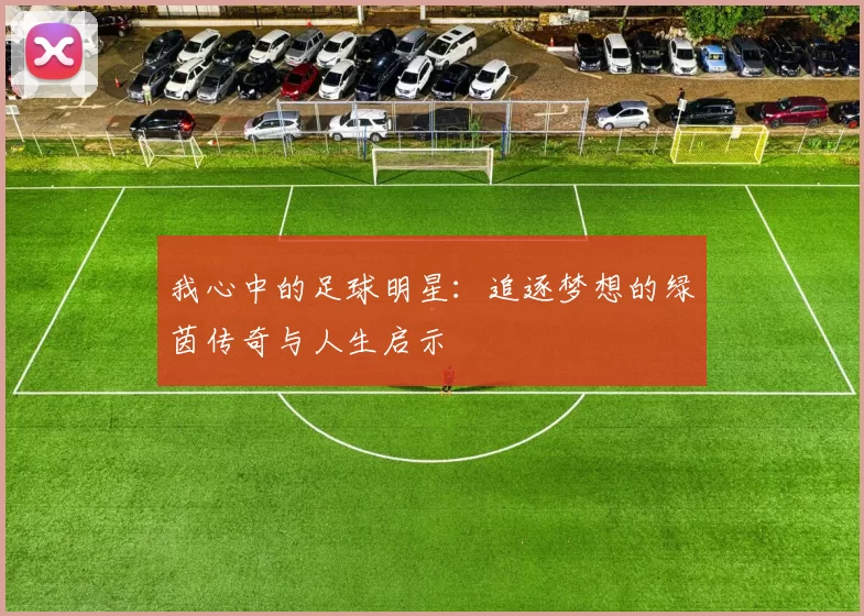 我心中的足球明星：追逐梦想的绿茵传奇与人生启示