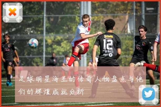 足球明星海王的传奇人物盘点与他们的辉煌成就分析